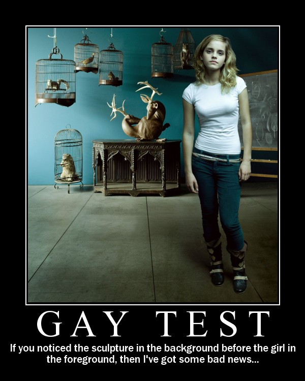 Gay Picture Test 44