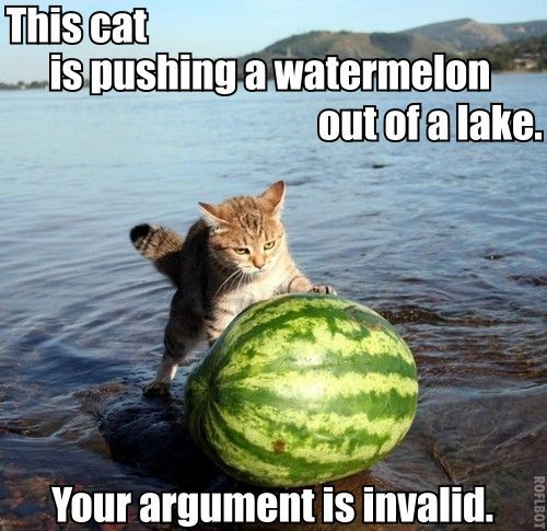 cat-watermelon.jpg