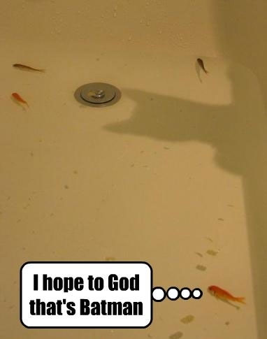 Fish Tub