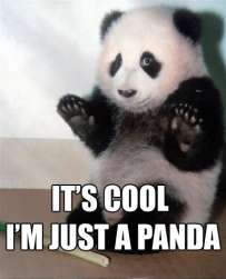 Just a Panda