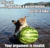 Cat, watermelon and lake