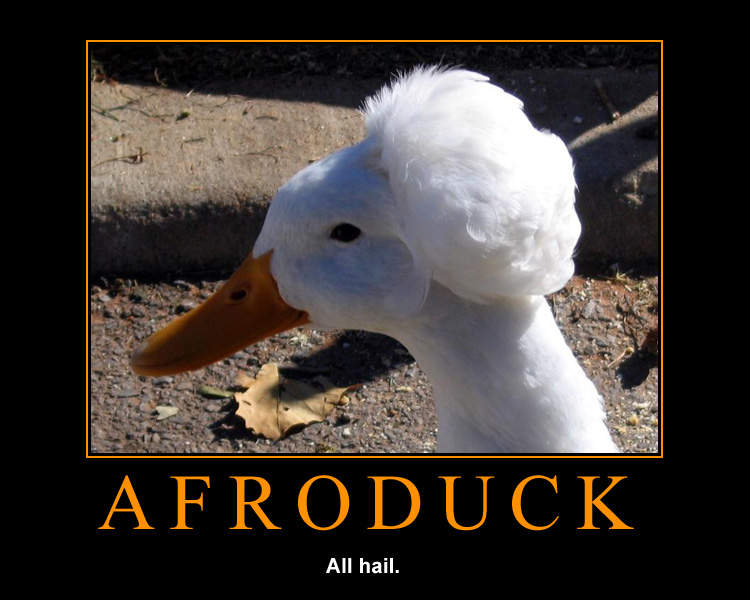 Afro Duck