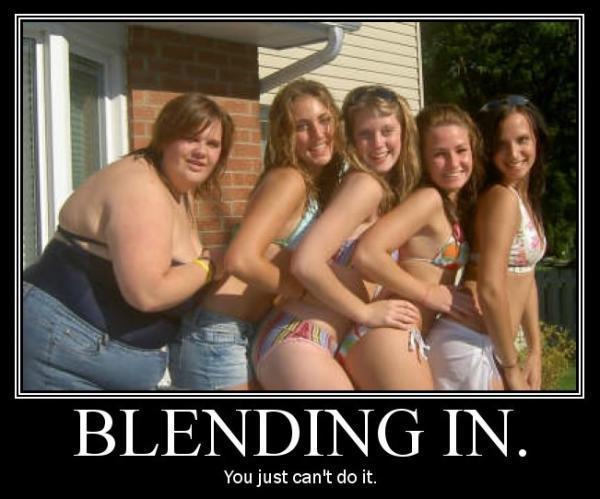 Blending in