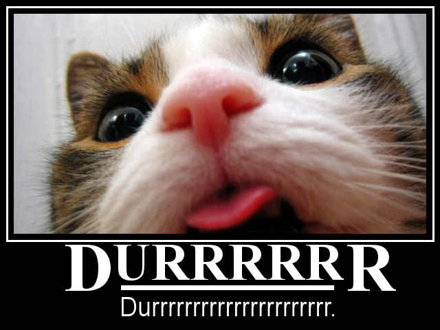 durrrrr