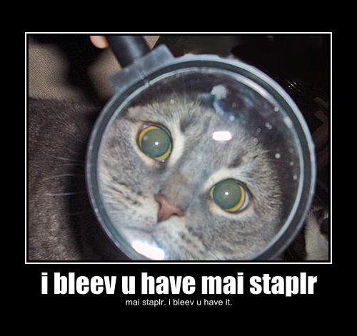 My stapler