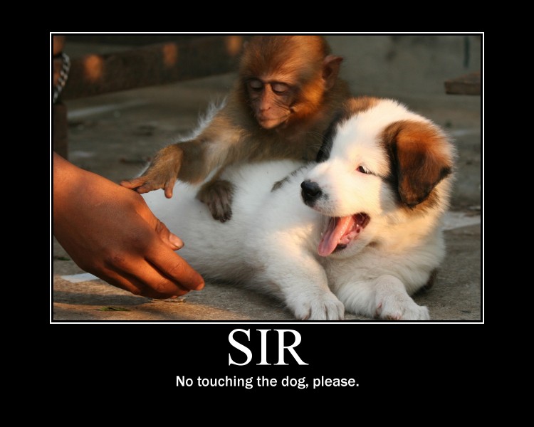 Sir, no touching the dog