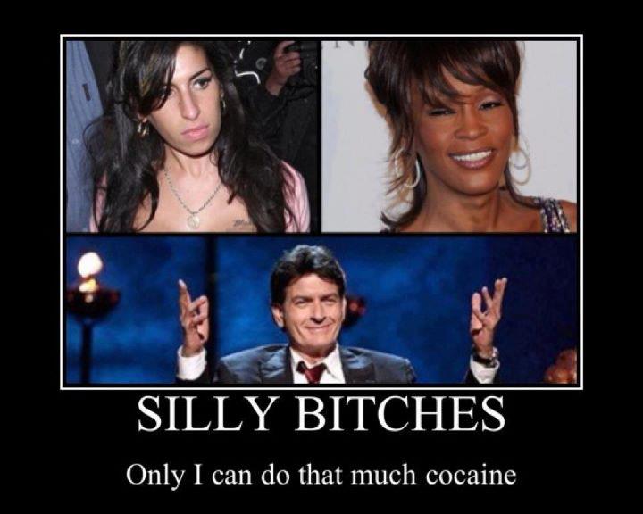 Silly Bit**es