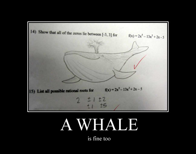 Whale