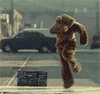Dancing bear