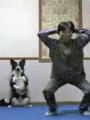 Exercise Dog