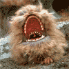 Labyrinth dog