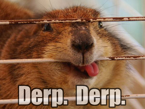 Derp Derp