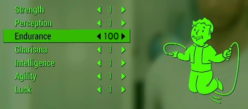 Endurance 100