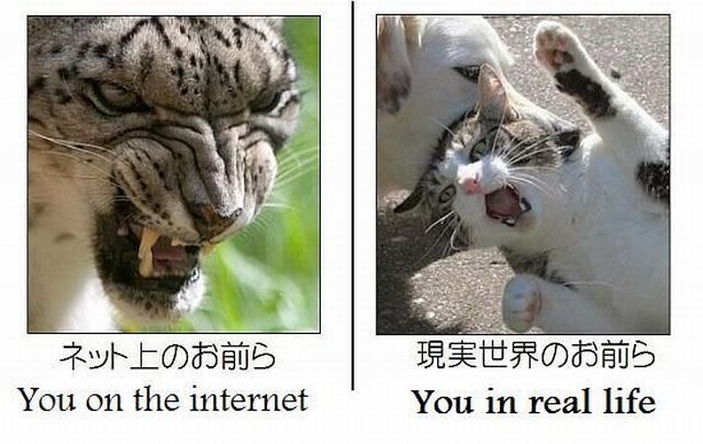 Keyboard Warrior