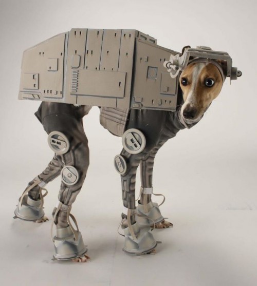 AT-AT Dog