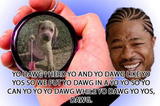 yo yo dawg