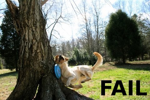 Fail frizbee