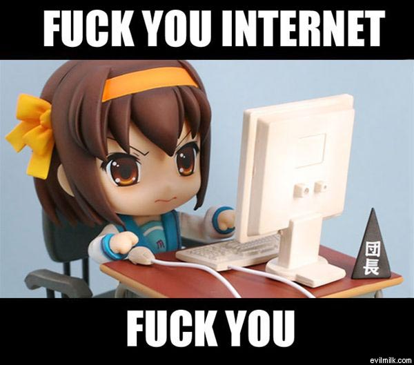 Fuck you internet