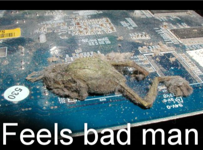 Feels Bad Frog