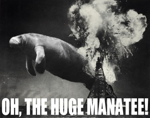 Oh the huge manatee!