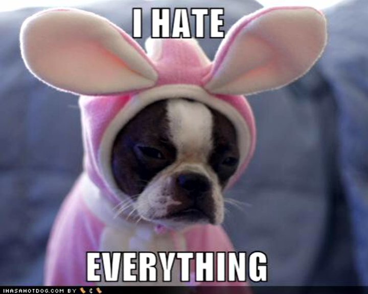 I hate everything