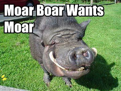 Moar boar
