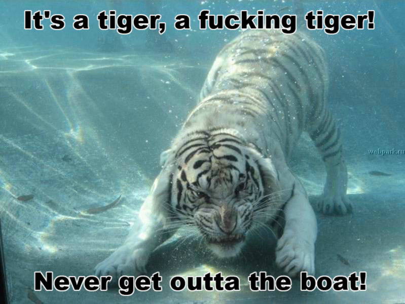 Never get outta the boat