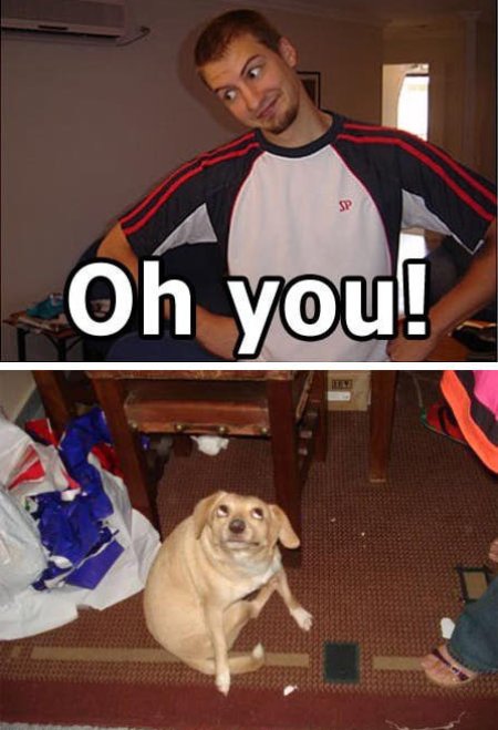 Oh you