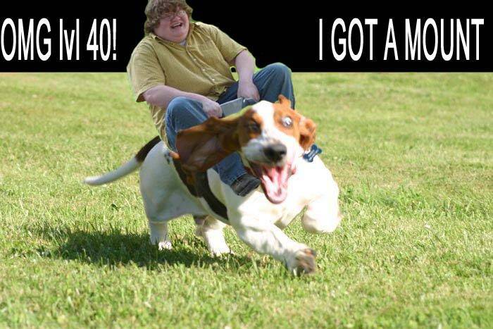 Omg lvl 40