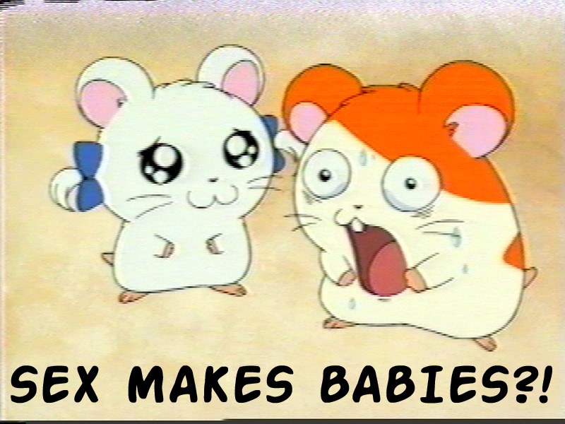Sex makes babies