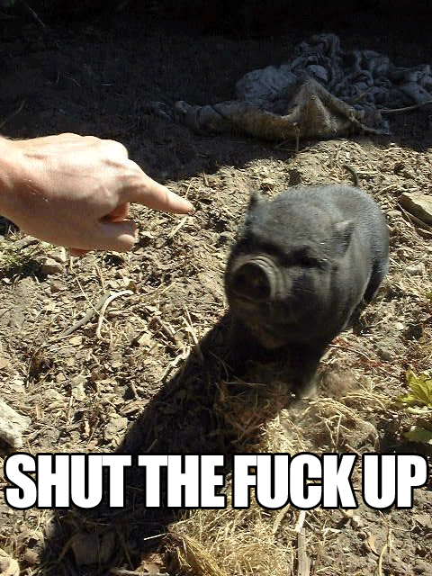 STFU