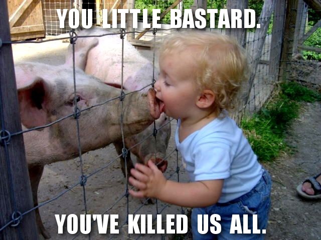 Swine flu