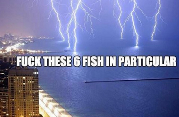 These six fish