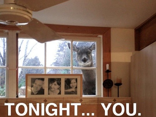 You