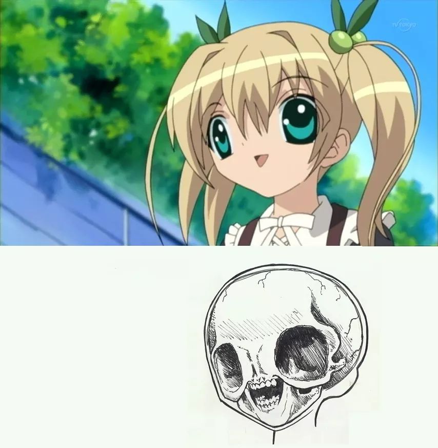 Anime xray