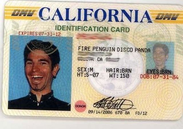 Fire Penguin Disco Panda