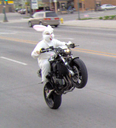 Bunny bike