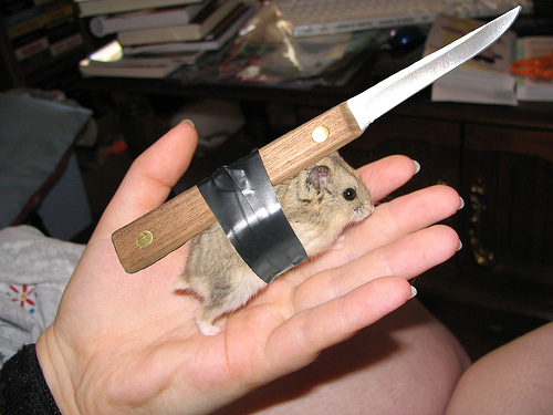 Hampster knife