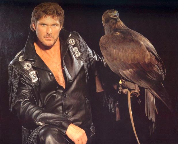 Hasselhoff and falcon