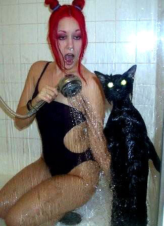 Kitty shower