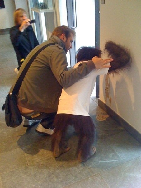 Sick monkey
