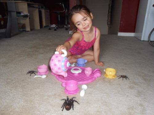 Spider tea party