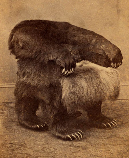 Bear chair