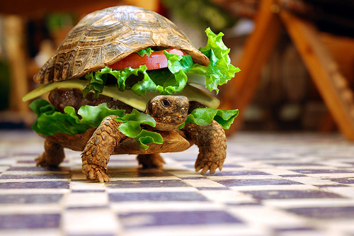 Turtle burger