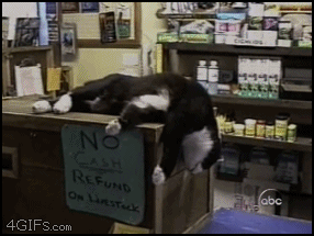 Cat drop