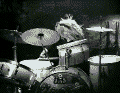 Animal drums