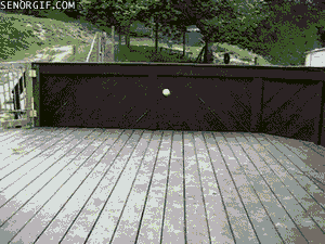 Ball Ball Ball