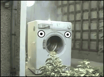 Brick vs Dryer