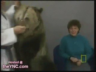 Judo Chop