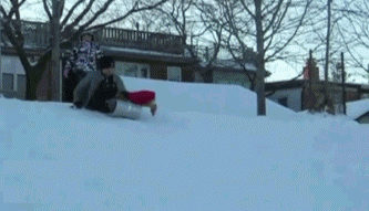 Sled Jack Dawg